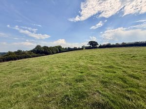  Trewidland